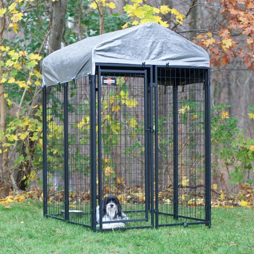 Choosing the Right Size Dog Kennel Based on Your Dog&#039;s Body Shape for Comfort and Safety