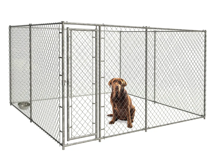 Professional Dog Kennels: Ensuring Quality Care for Your Furry Friend