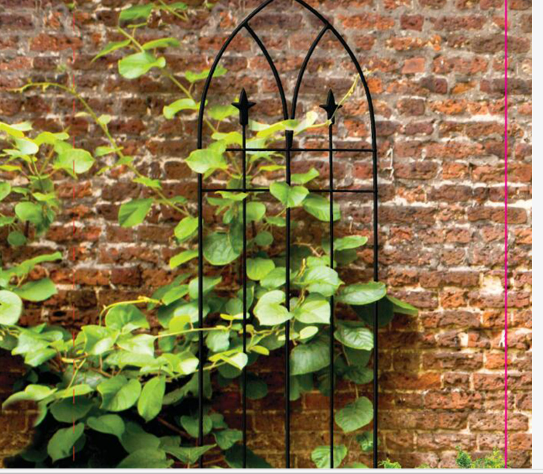 Small Flower Pot Trellis: Petite Support for Compact Climbers Small Flower Pot Trellis: Petite Support for Compact Climbers
