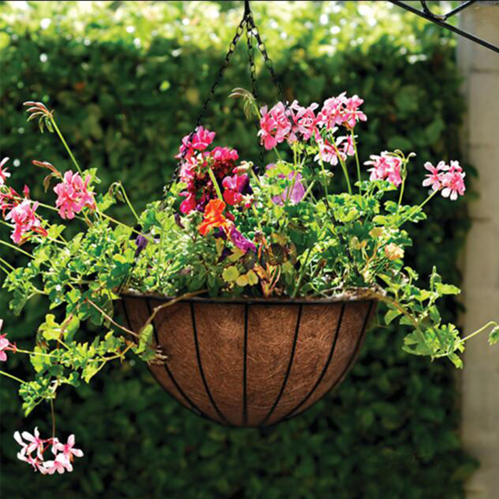 The Drainage Benefits of Black Wire Hanging Baskets