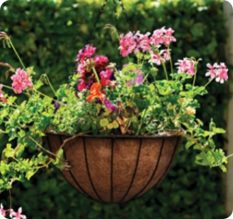 How to Maintain a Metal Flower Basket to Prevent Rusting in Humid Environments