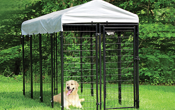 Pet Products