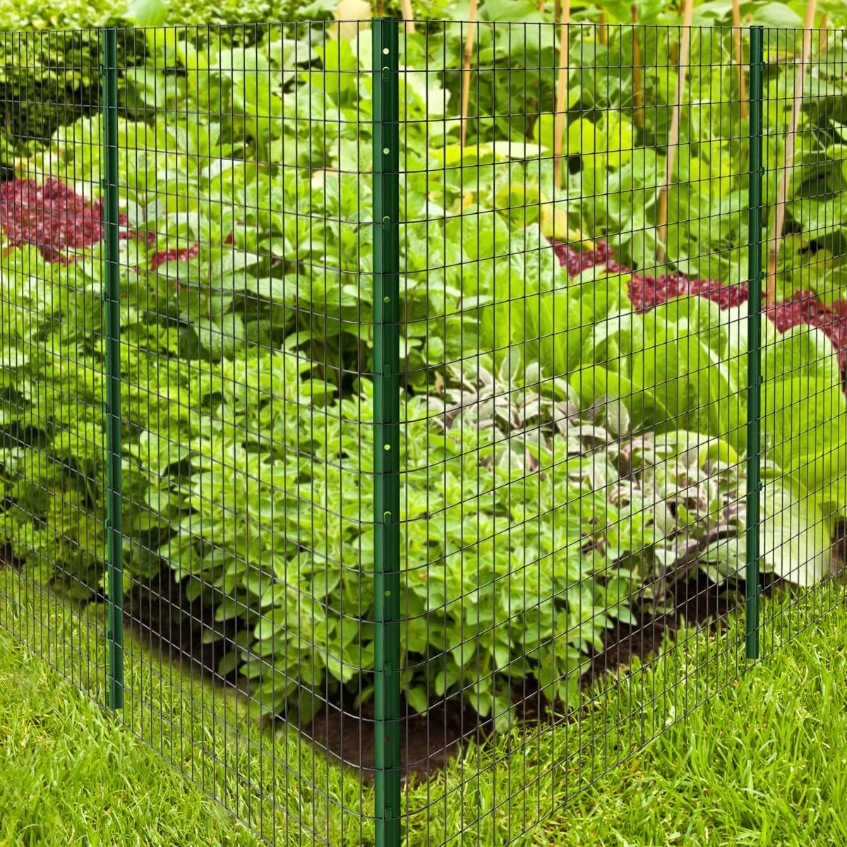 U Shaped Fence Post: Strong and Versatile Fencing Solution