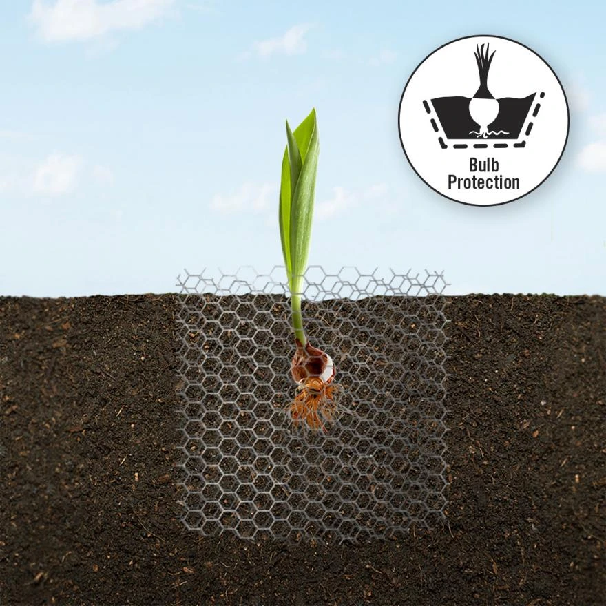 The Advantages of Hexagonal Wire Mesh Can Help Plant Growth The Advantages of Hexagonal Wire Mesh Can Help Plant Growth
