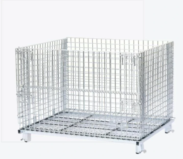 10 10 dog kennel