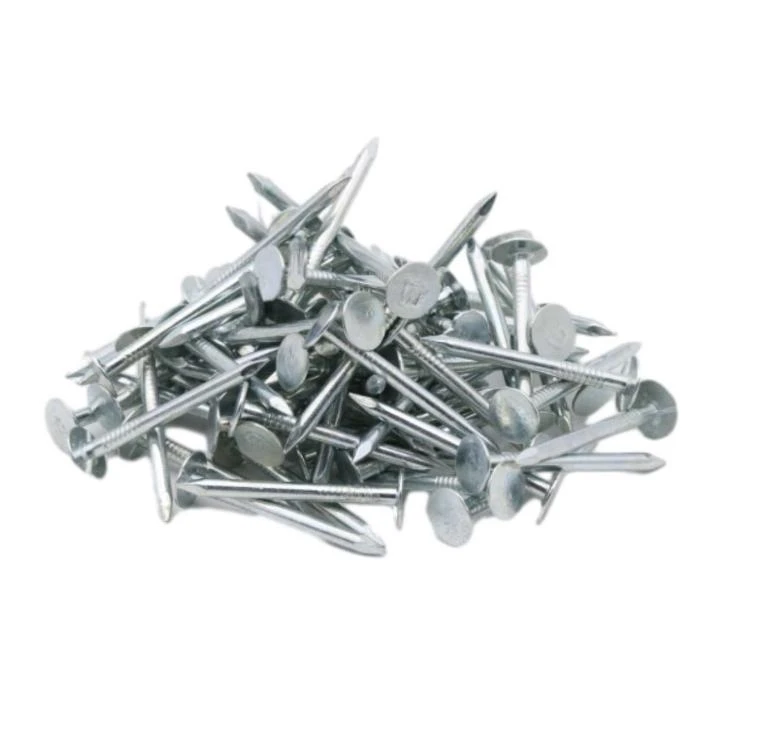 no dig ground screw