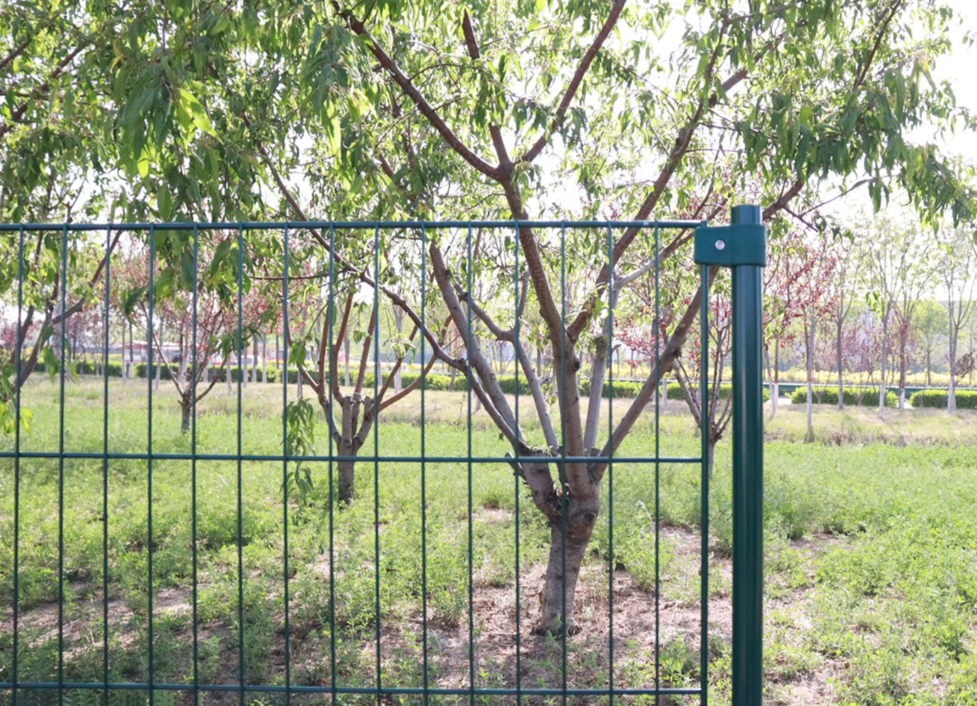 tiger tape razor wire