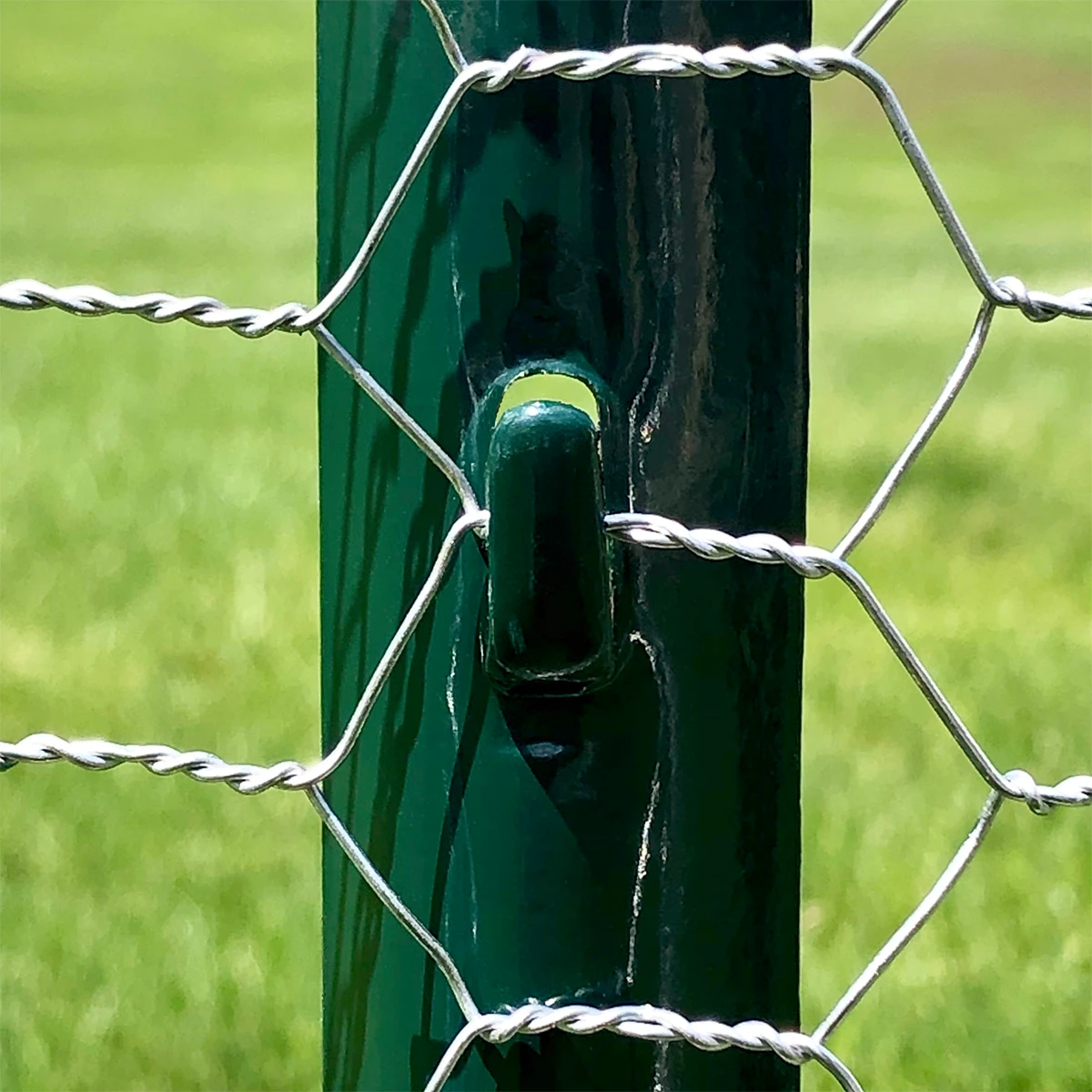 garden trellis