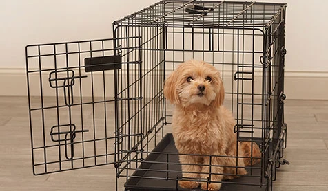 safety fencing machine guarding