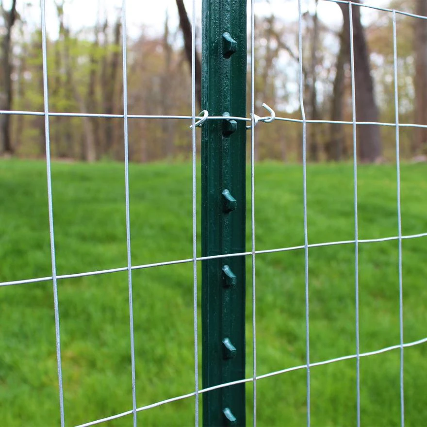 protective garden mesh