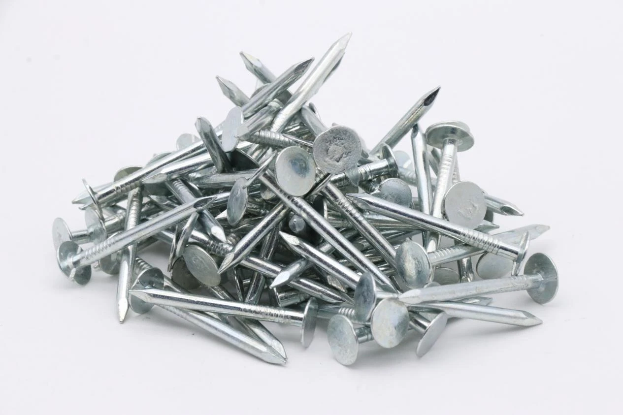 Revolutionizing Roofing and Framing with Coil and Ring Shank Nails