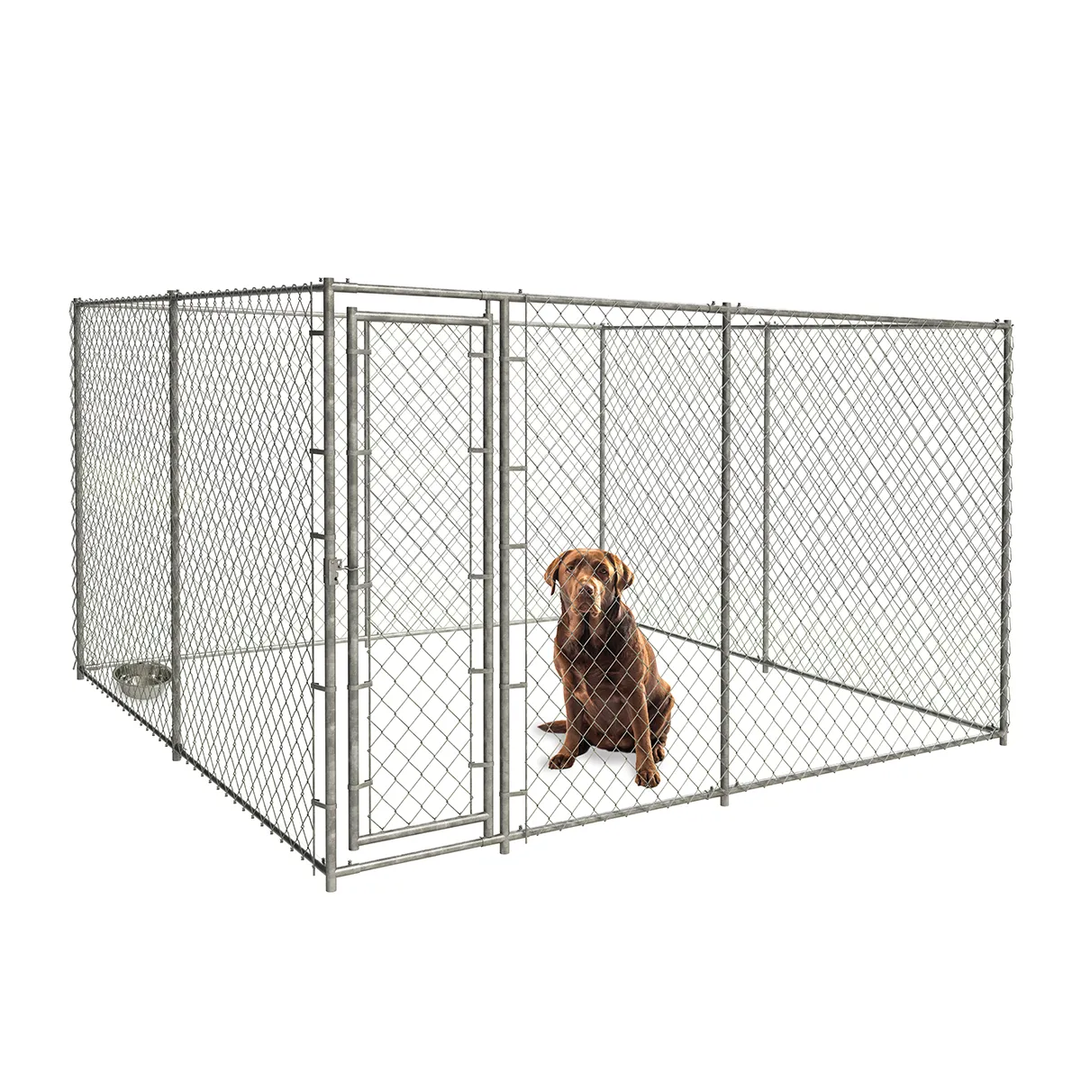 830063_Kennel