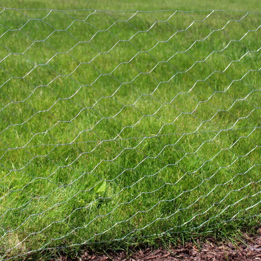 The Advantages of Hexagonal Wire Mesh for Climbing Plants and Flower Sheds