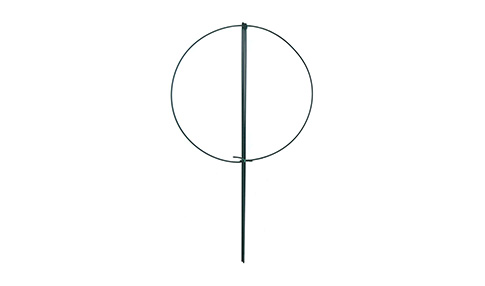 Plant Support