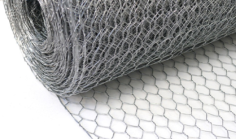 bird wire mesh