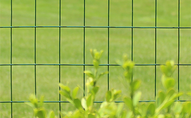 48 chicken wire