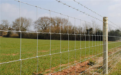 metal arch arbor