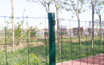 fence t post for sale