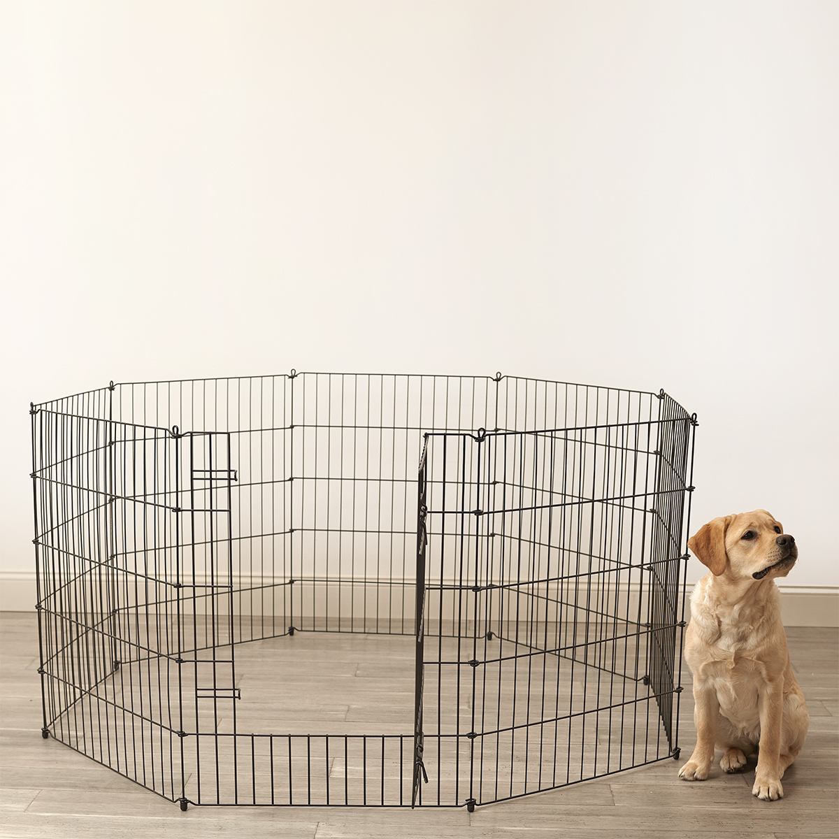 razor wire fencing for sale