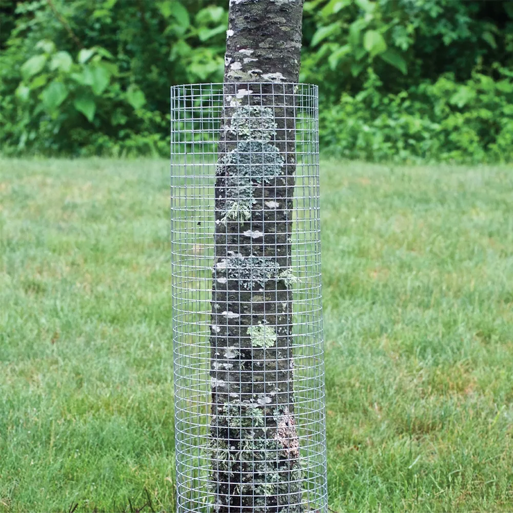 plexiglass pet enclosure