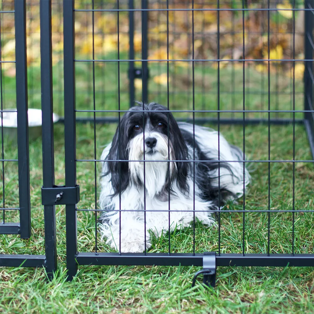 livestock gates