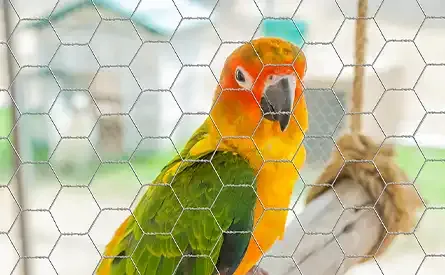 Wire Mesh