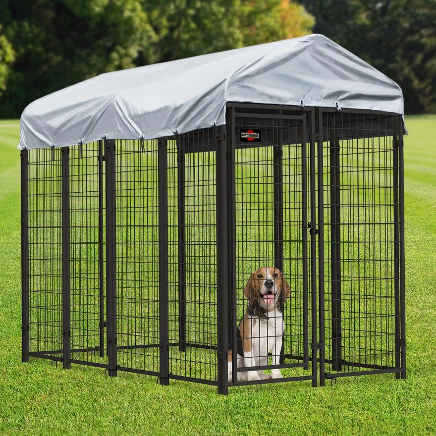 Understanding Pet Kennels: A Comprehensive Guide for Pet Owners