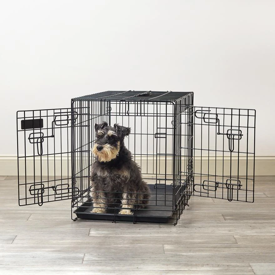Application of Wire Dog Crate in Puppy Life