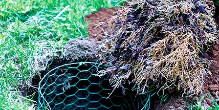 pvc coated hexagonal wire mesh Read More About pvc coated hexagonal wire mesh
