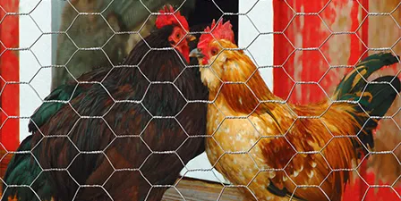 hexagon wire mesh Read More About hexagon wire mesh