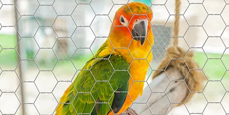 hexagon wire mesh Read More About hexagon wire mesh