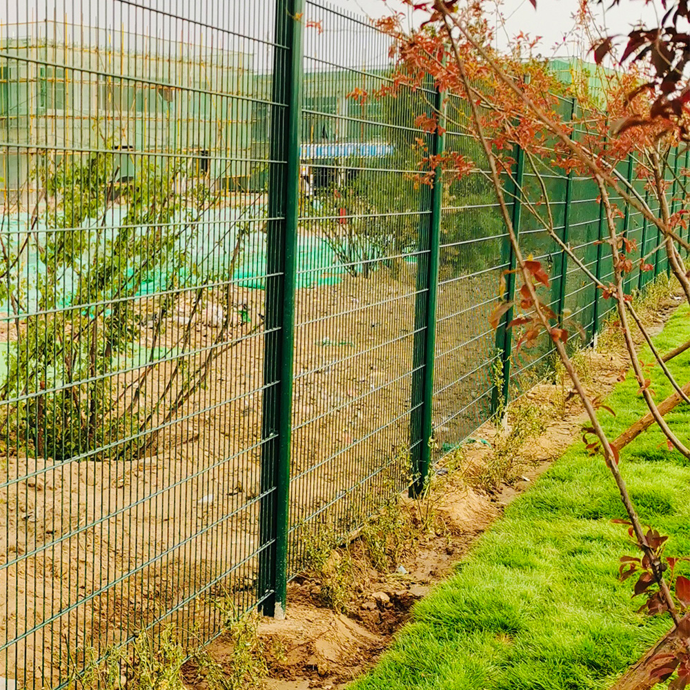 Read More About double wire panel