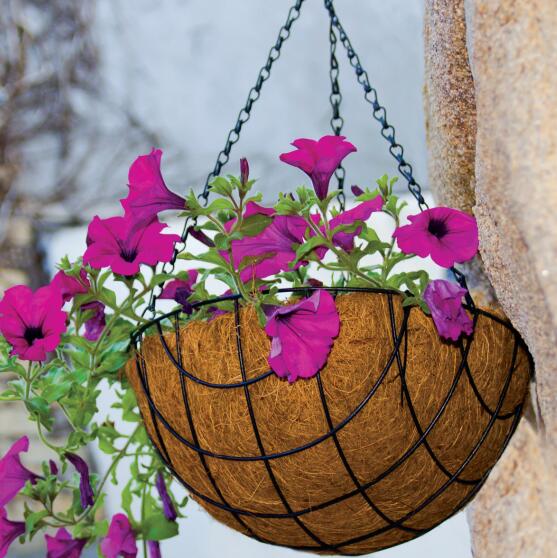 Read More About metal hanging baskets for plants