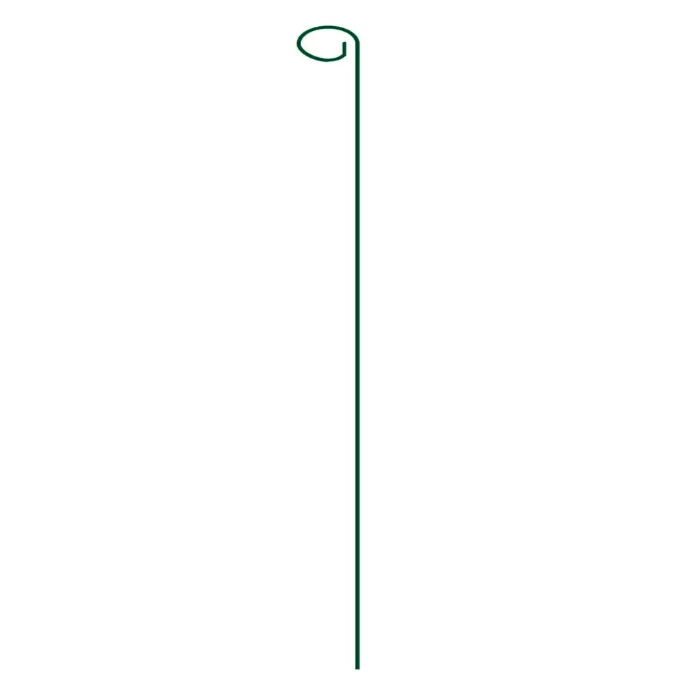 Read More About Plant Support