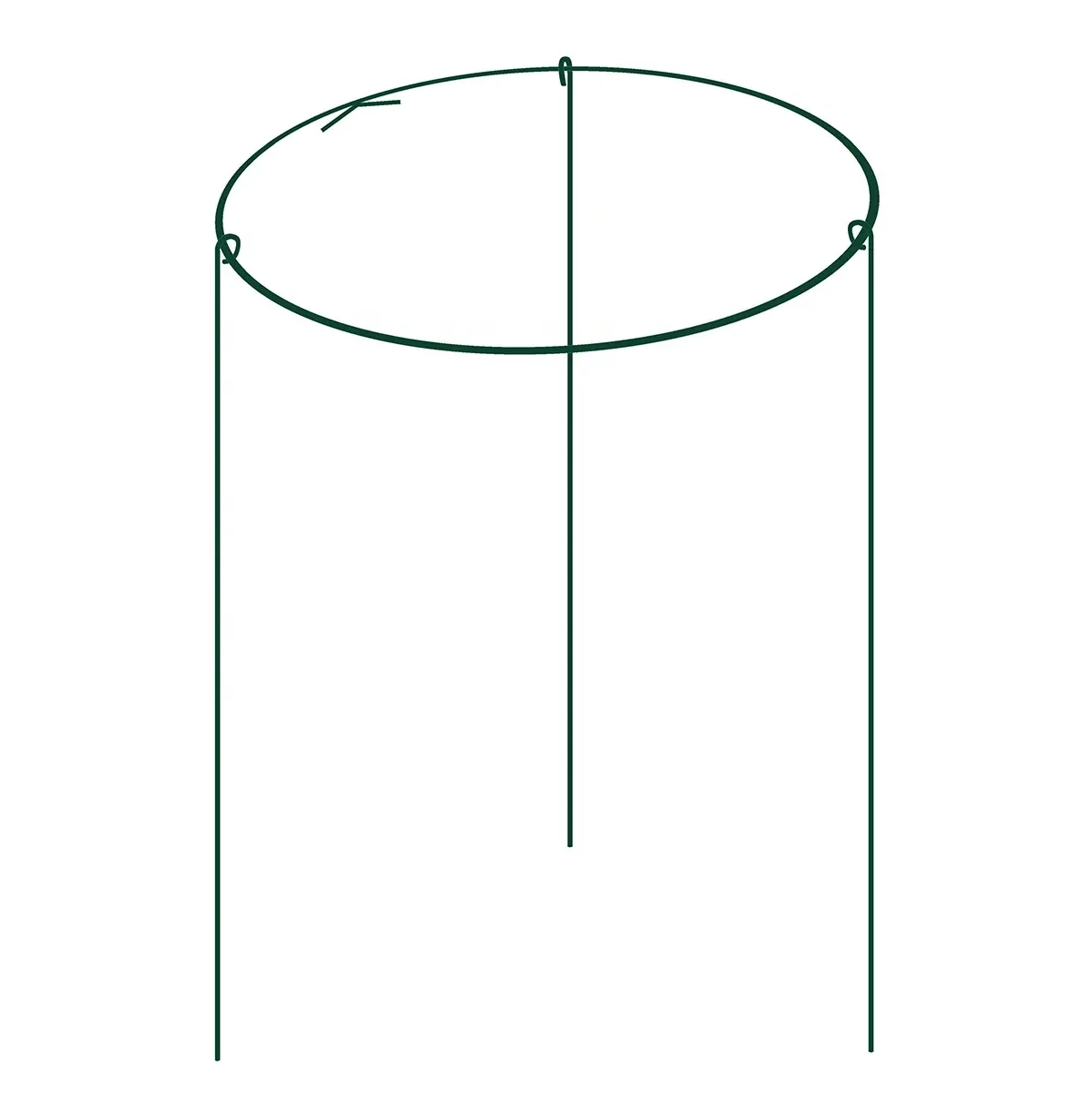 Read More About Plant Support