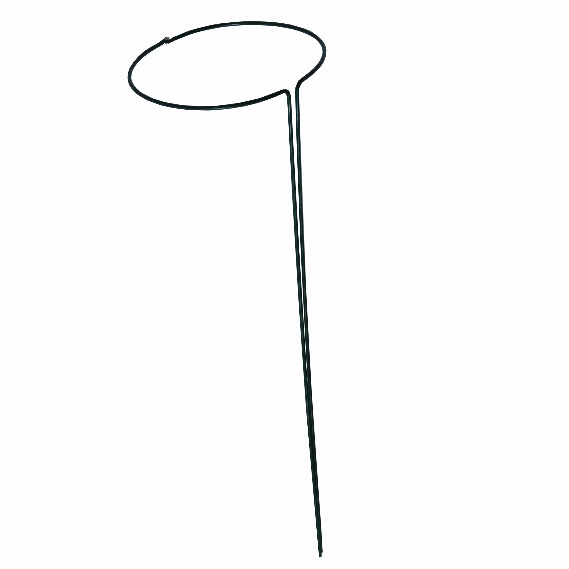 Read More About Plant Support