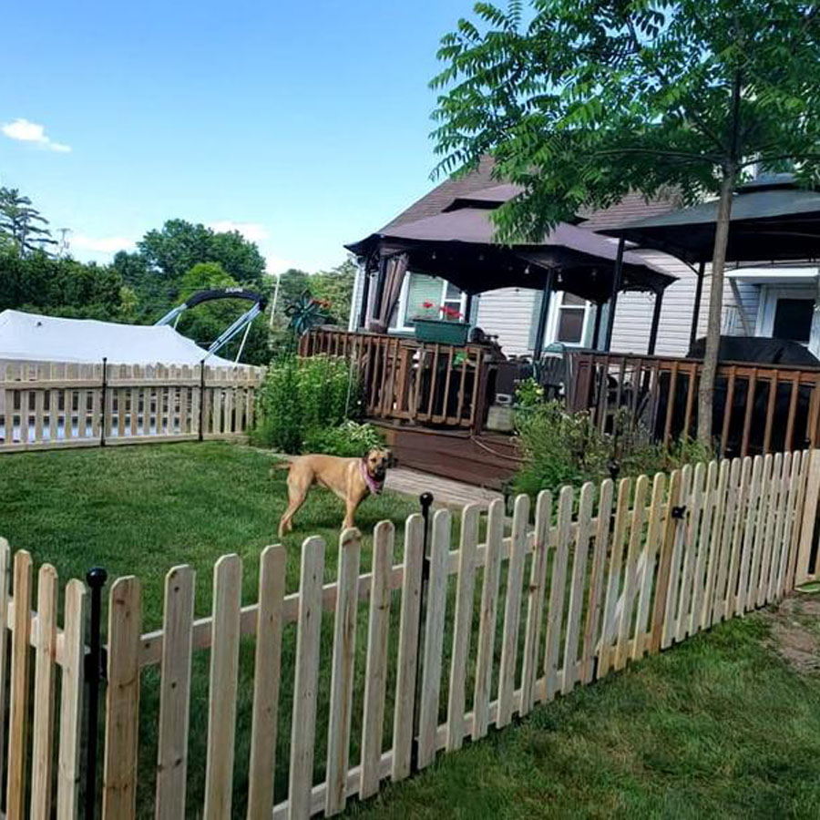 glass panel garden fencing