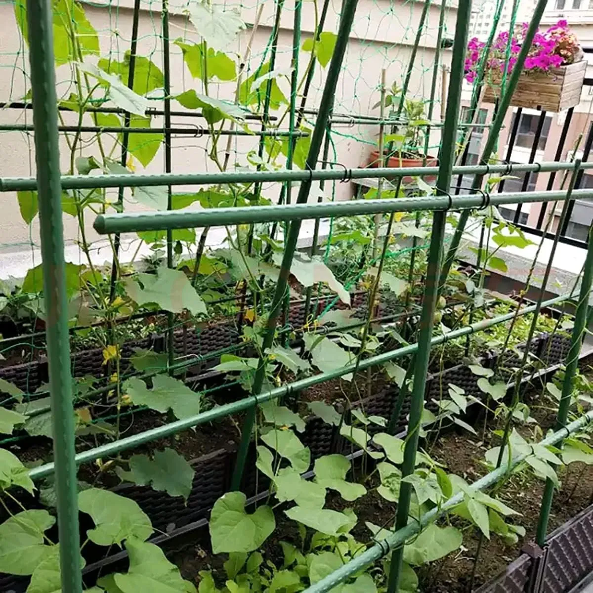 Read More About garden stakes bulk