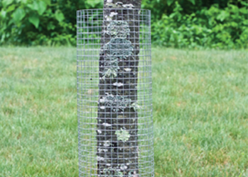 9 ft chain link gate