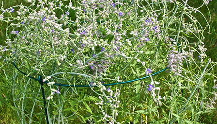 5mm wire mesh