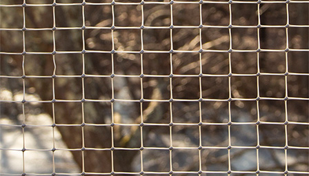 30 degree collated framing nails