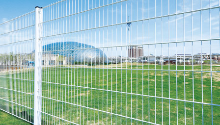 crimped wire mesh