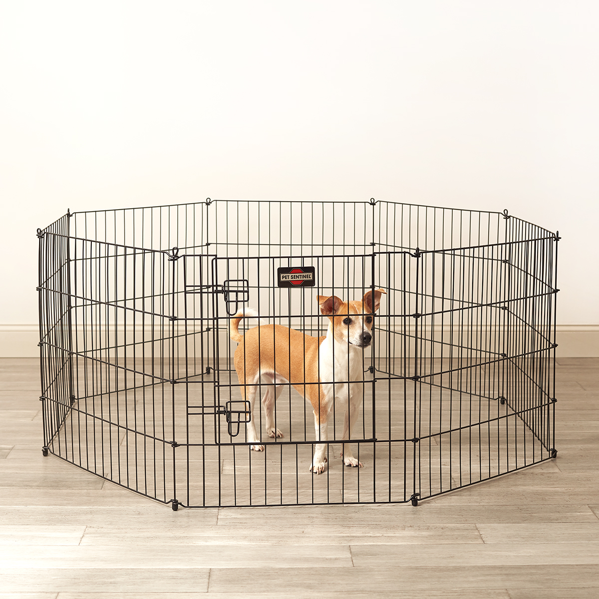 black wire crate