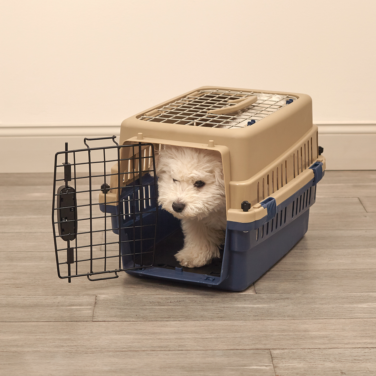large wire dog cage