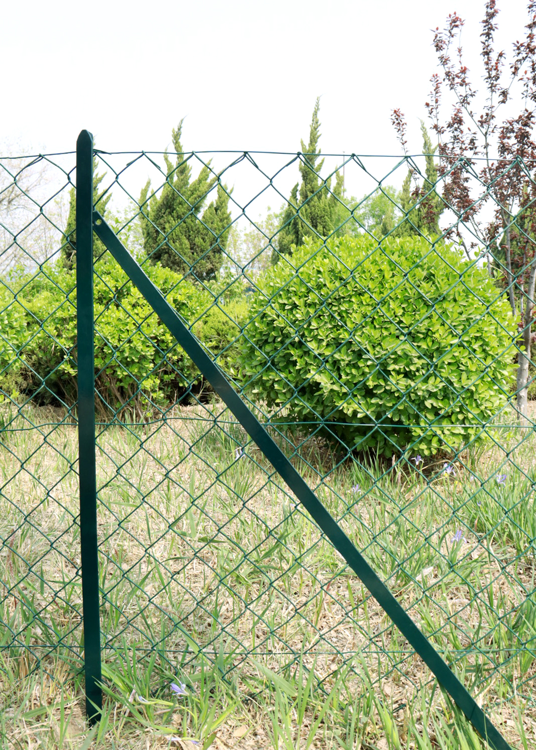 plastic garden trellis mesh