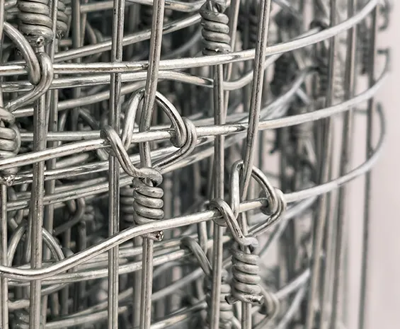 folding metal dog cage