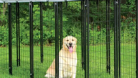 metal garden trellis for climbing plants