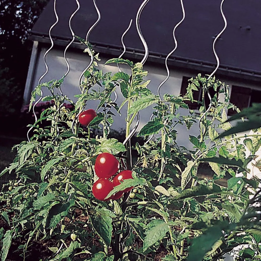 spiral plant supports